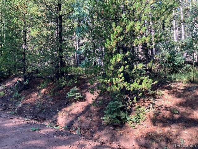 Lot 3427 Grojean DR, Fort Garland, CO 81133