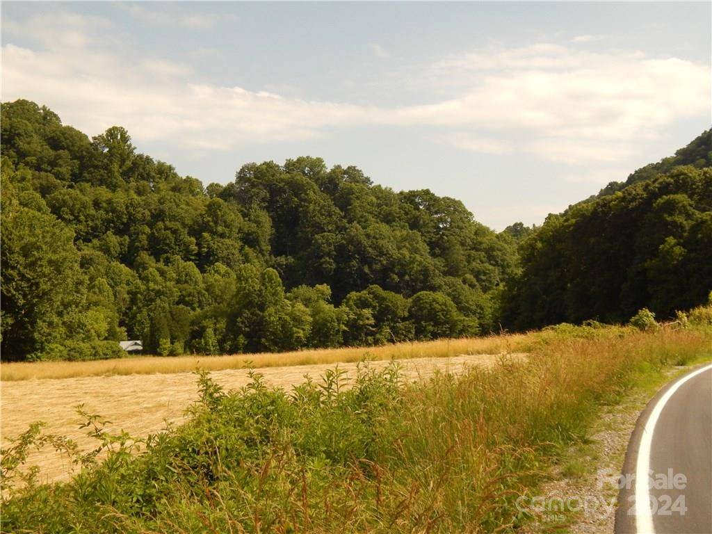 0 NC 209 HWY, Hot Springs, NC 28743