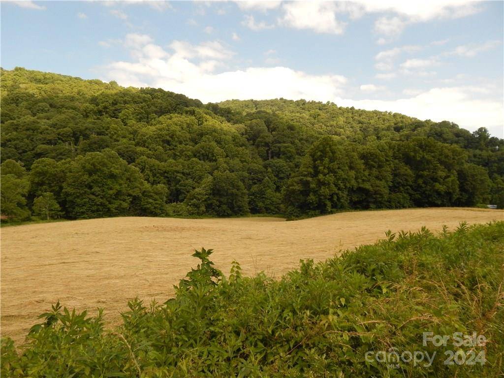 0 NC 209 HWY, Hot Springs, NC 28743