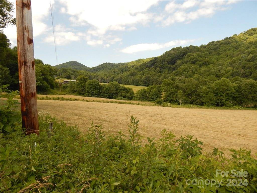 0 NC 209 HWY, Hot Springs, NC 28743