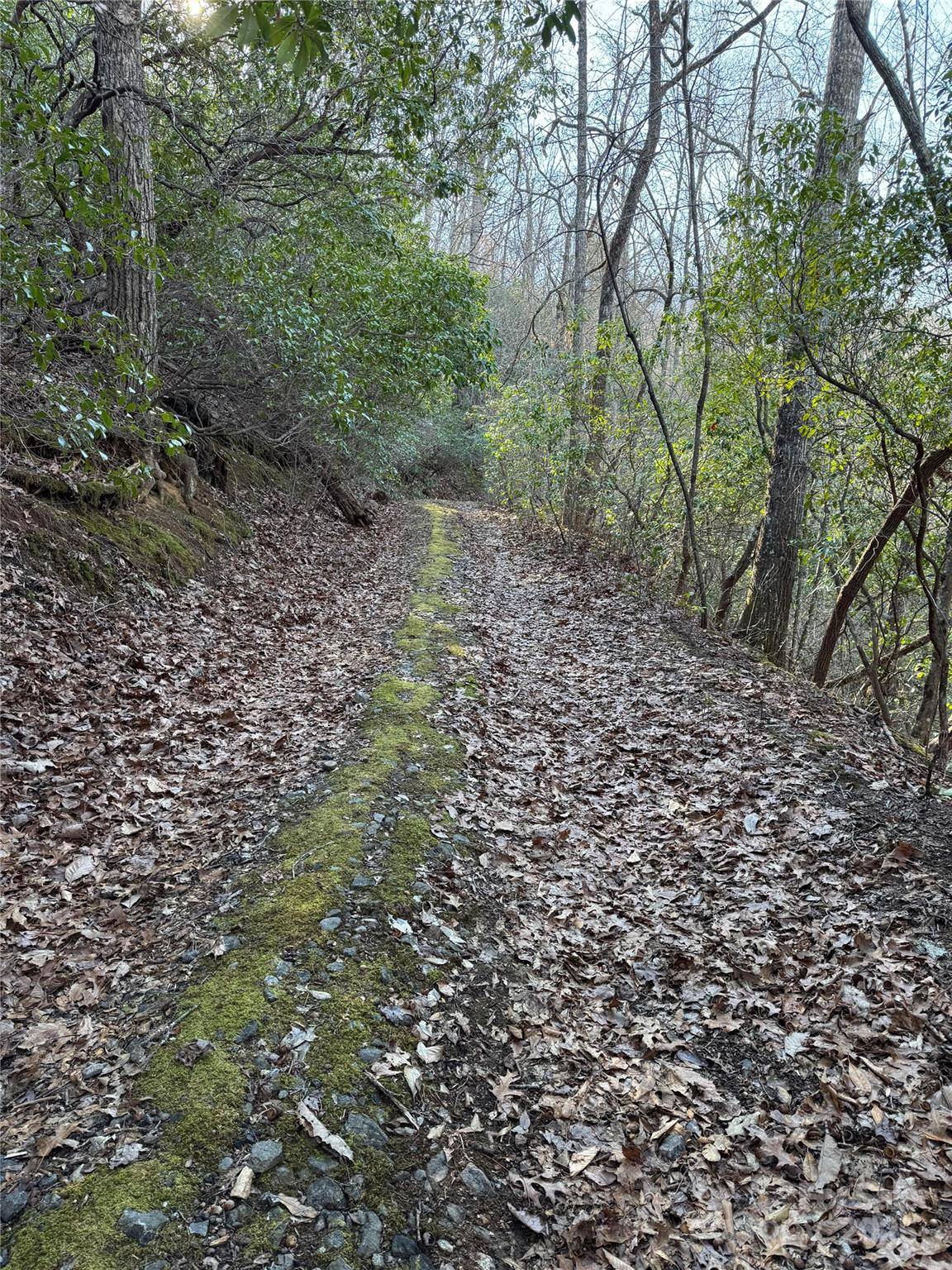 Lot #41 S Country Club DR #41, Cullowhee, NC 28723