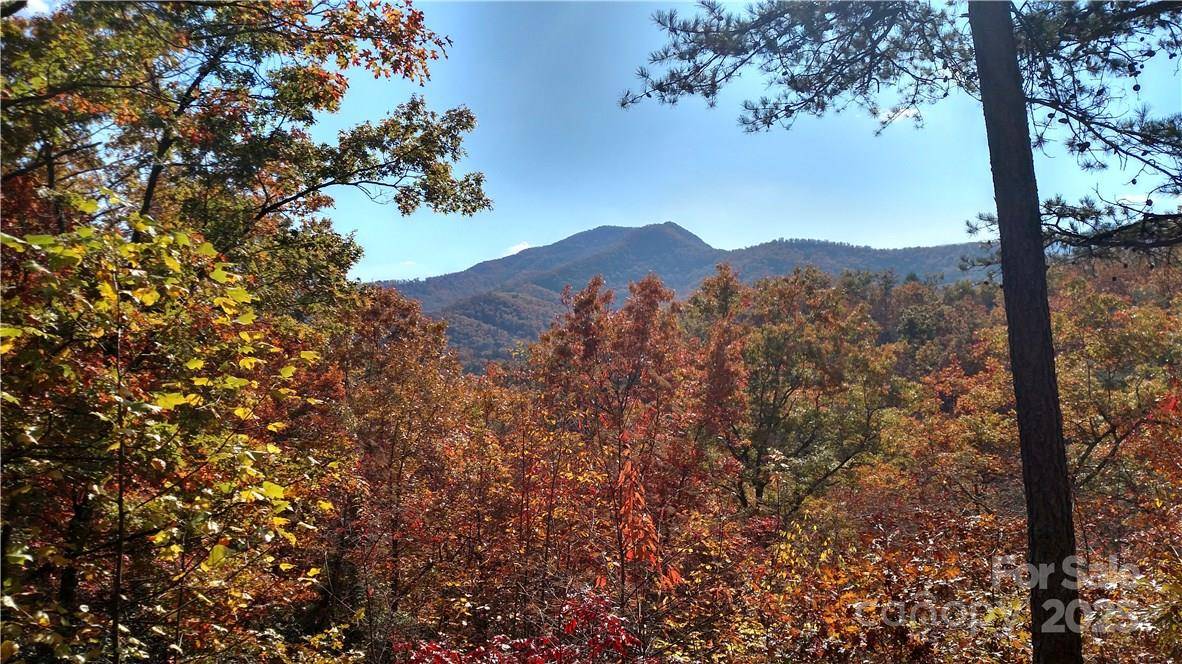 Lot #41 S Country Club DR #41, Cullowhee, NC 28723