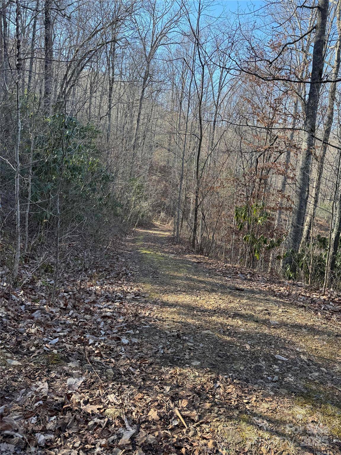 Lot #41 S Country Club DR #41, Cullowhee, NC 28723