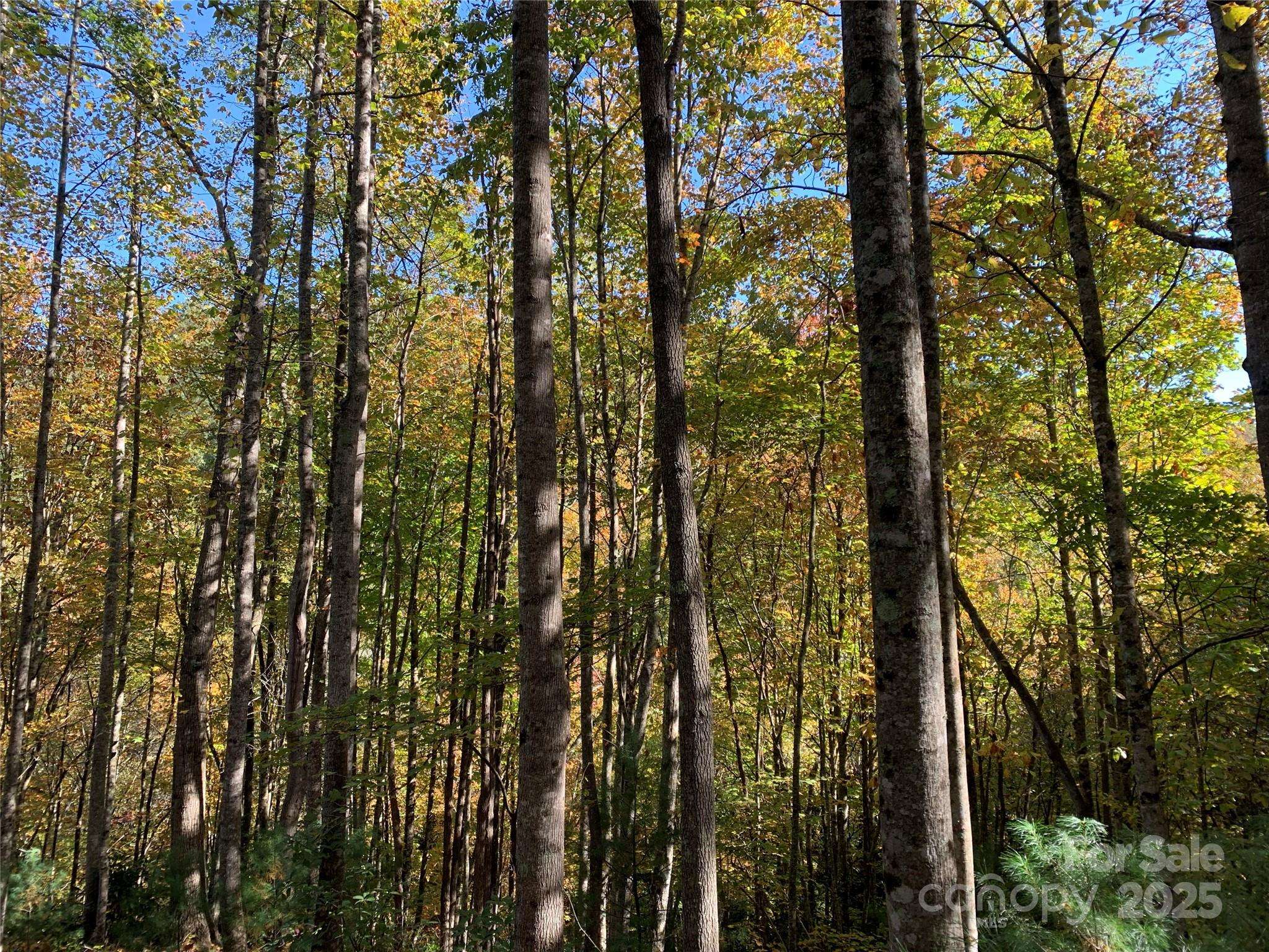 Lot# 556 Timber Rock DR #556, Lenoir, NC 28645