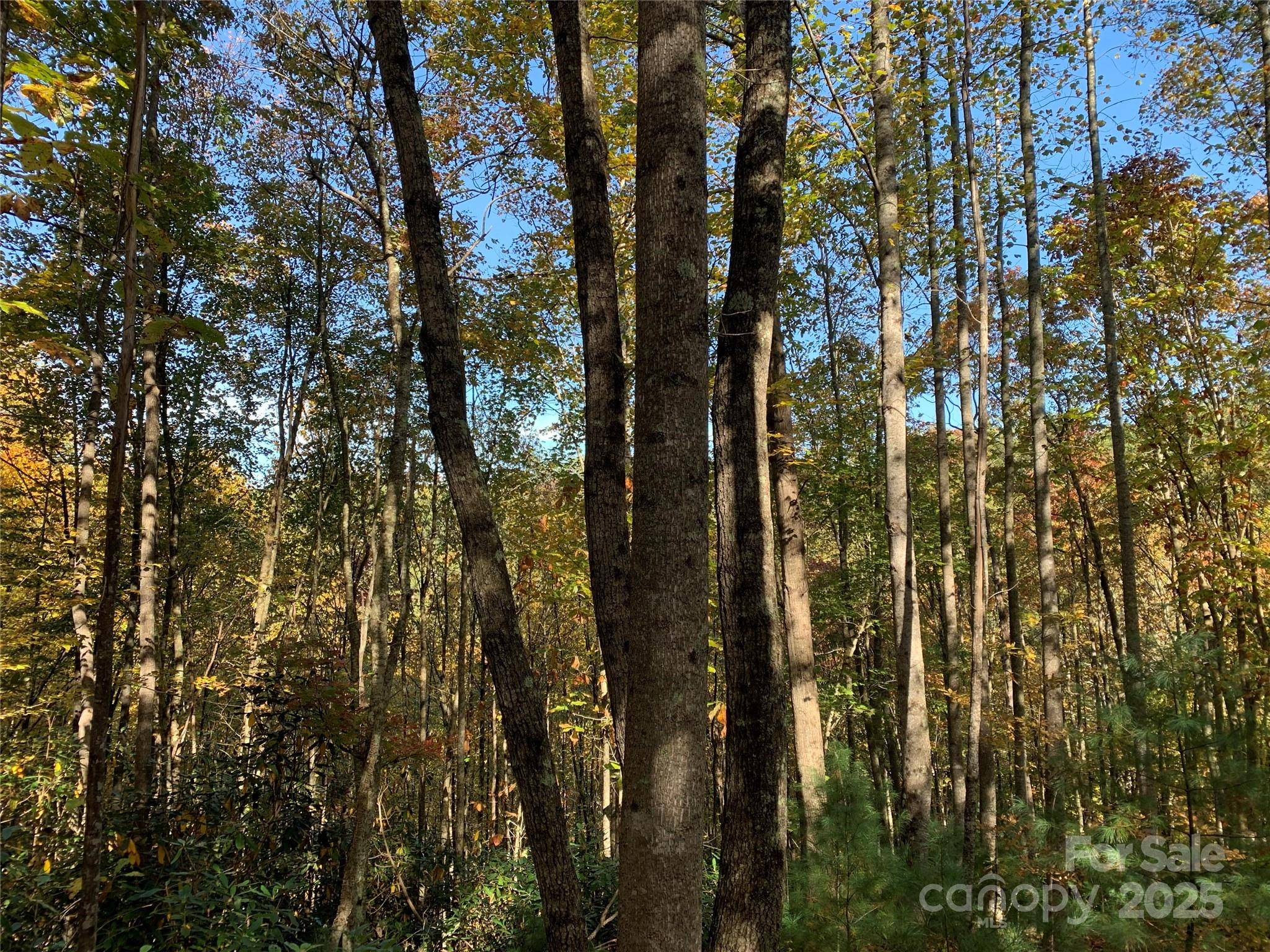 Lot# 556 Timber Rock DR #556, Lenoir, NC 28645
