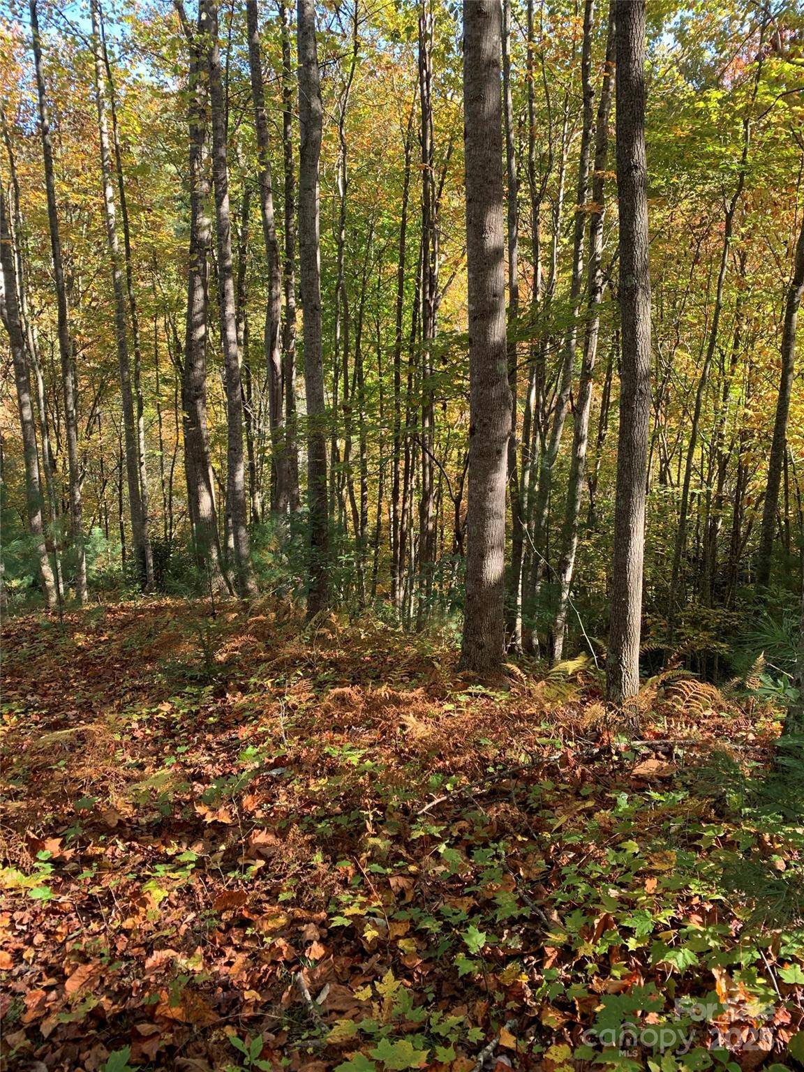 Lot# 556 Timber Rock DR #556, Lenoir, NC 28645
