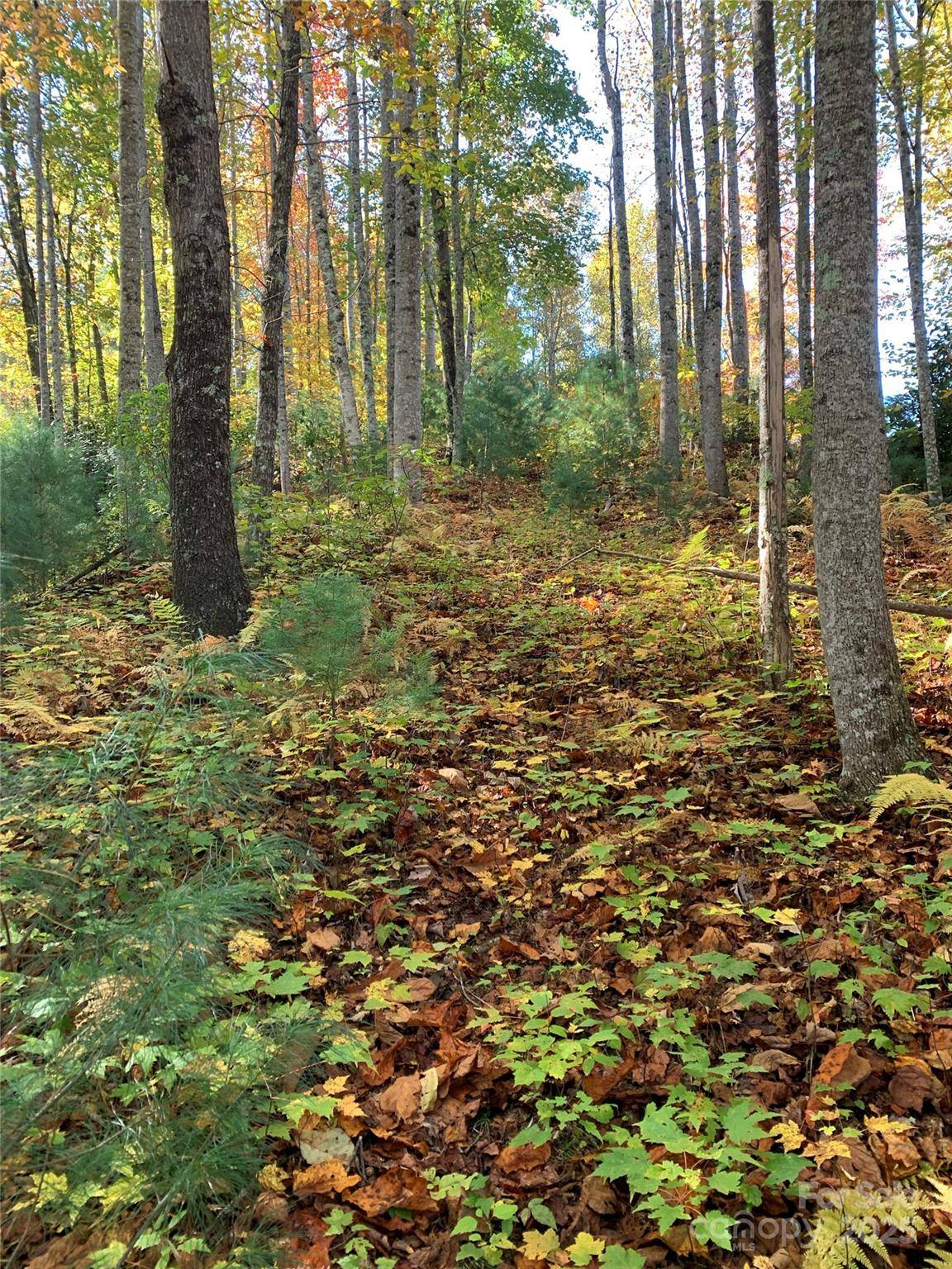 Lot# 556 Timber Rock DR #556, Lenoir, NC 28645