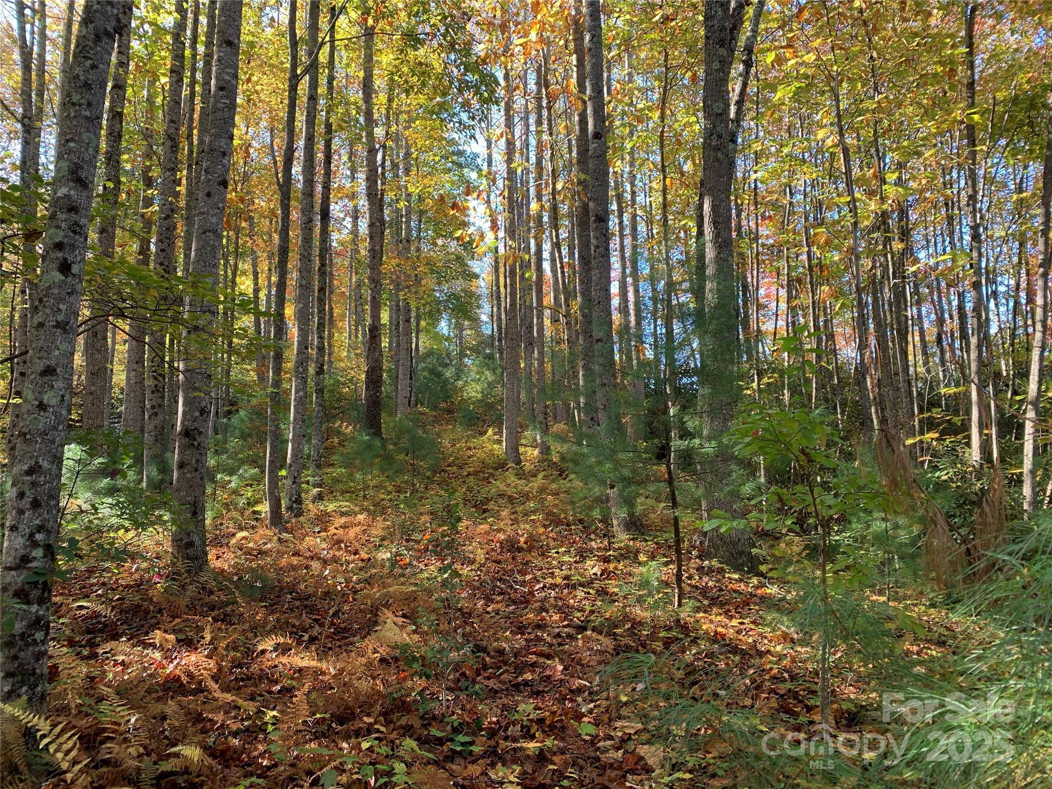 Lot# 556 Timber Rock DR #556, Lenoir, NC 28645