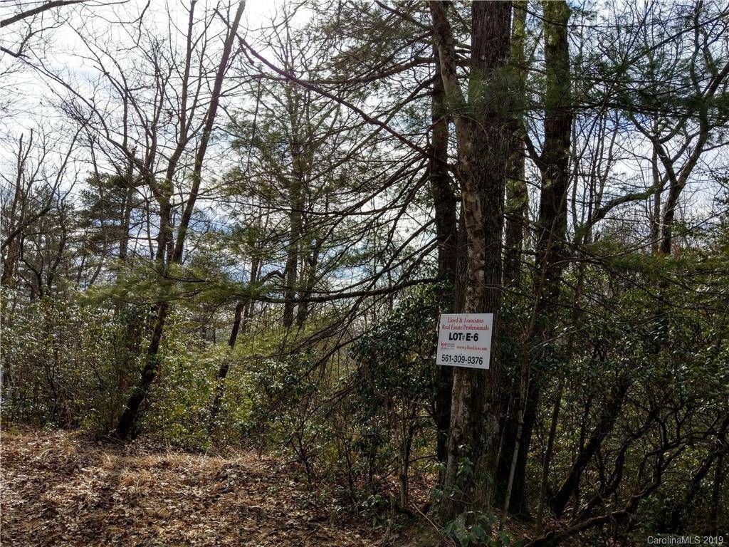 000 Dogwood DR #E6, Penrose, NC 28766