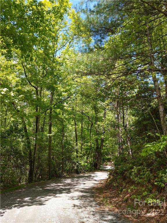 000 Dogwood DR #E7, Penrose, NC 28766