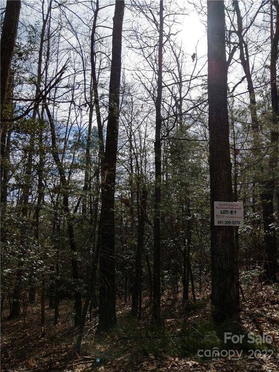 000 Dogwood DR #E7, Penrose, NC 28766