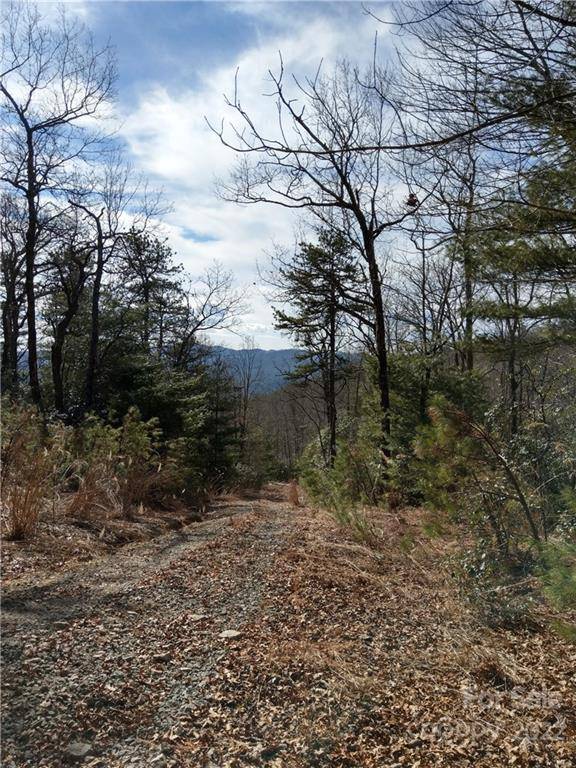 000 Emma Bri LN #F1, Hendersonville, NC 28739