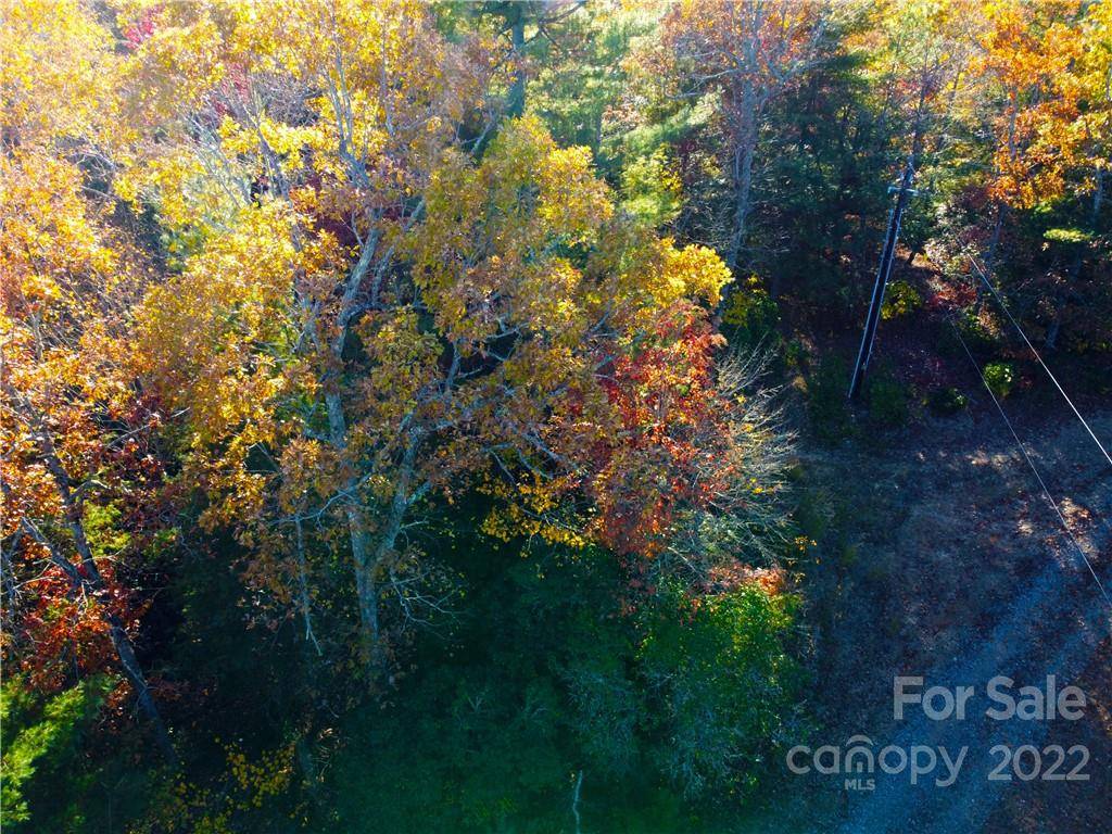 000 Emma Bri LN #F1, Hendersonville, NC 28739