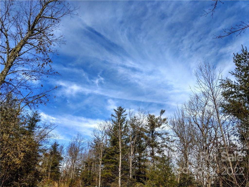 000 Emma Bri LN #F9, Hendersonville, NC 28739