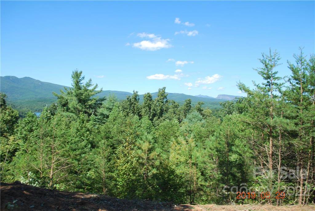675 Harborside DR #238 & 238A, Nebo, NC 28761