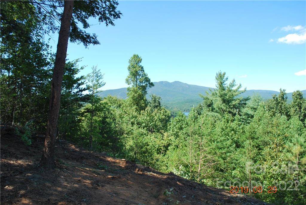 675 Harborside DR #238 & 238A, Nebo, NC 28761