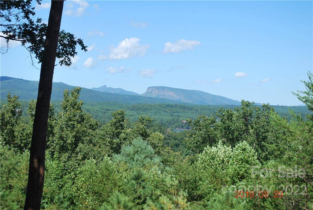 675 Harborside DR #238 & 238A, Nebo, NC 28761