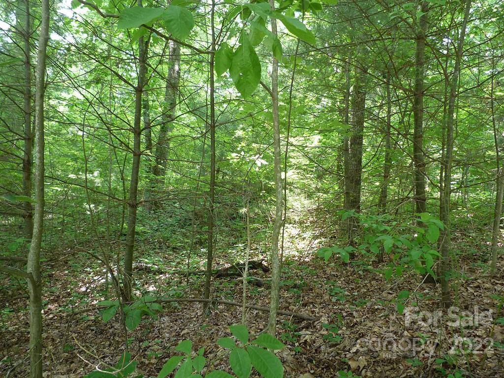 201 BENT PINE TRCE #180, Hendersonville, NC 28739