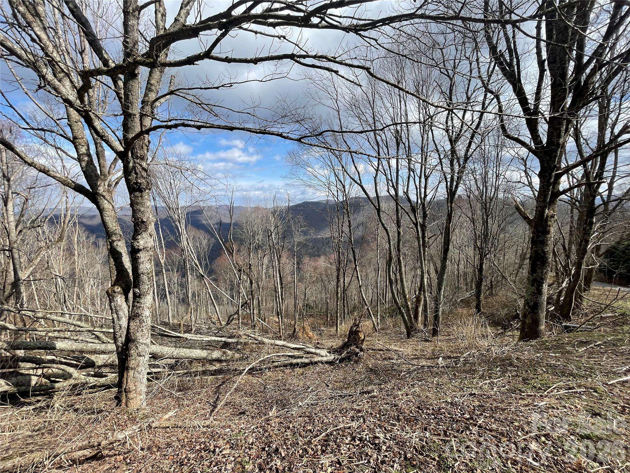 Lot #39 Ridge Top CIR, Clyde, NC 28721