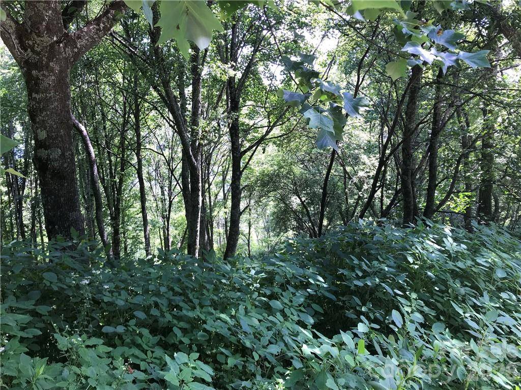 Lot #39 Ridge Top CIR, Clyde, NC 28721