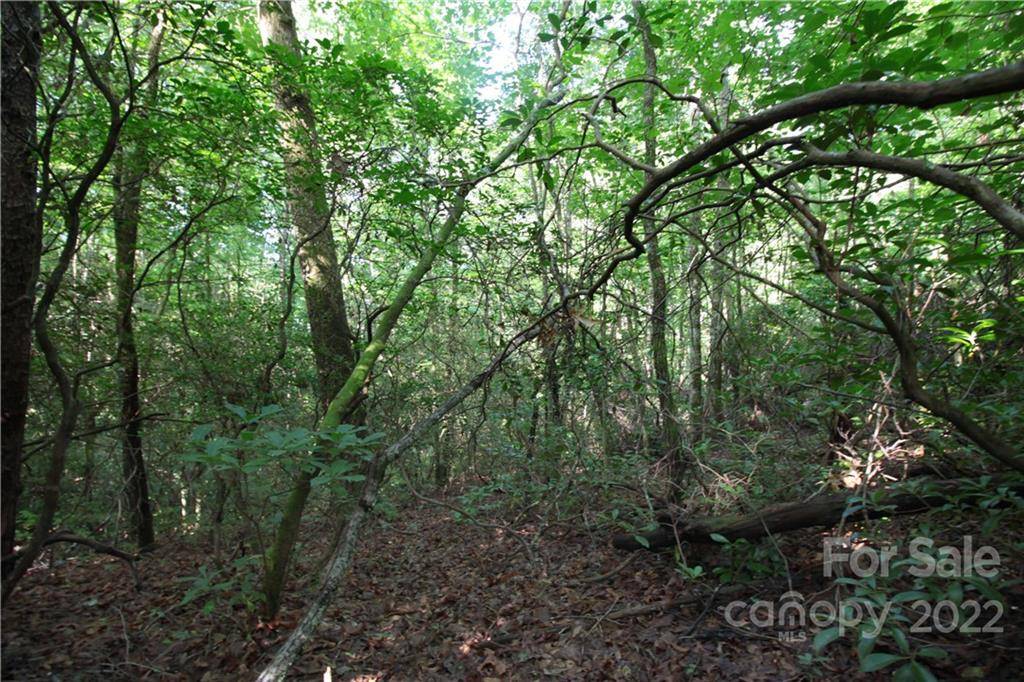 Lot 19 Gastons Bee Gum RD #19, Brevard, NC 28712