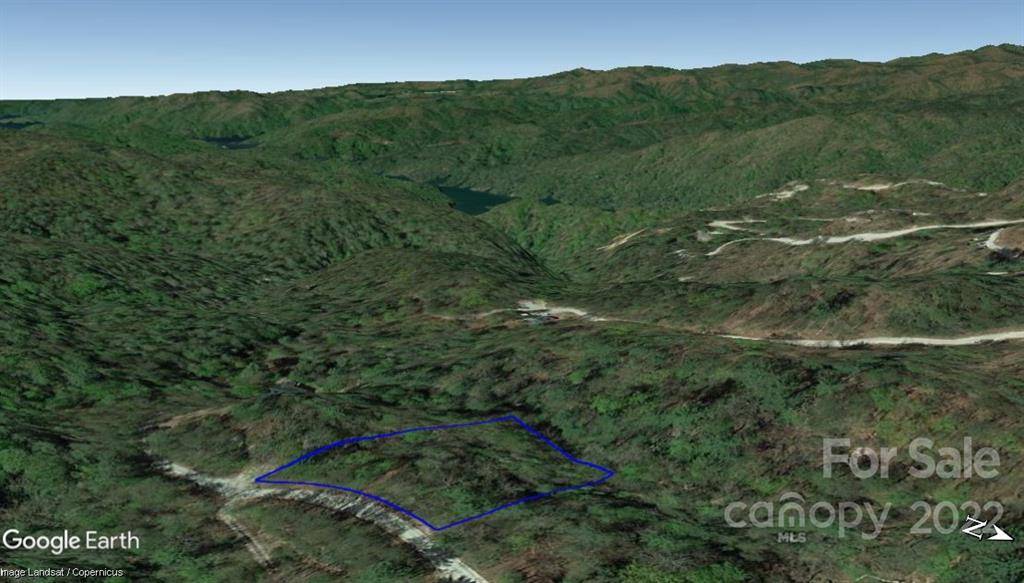 Lot 19 Gastons Bee Gum RD #19, Brevard, NC 28712
