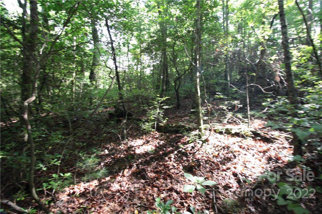 Lot 19 Gastons Bee Gum RD #19, Brevard, NC 28712