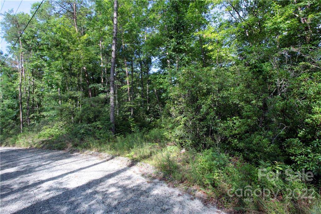 Lot 19 Gastons Bee Gum RD #19, Brevard, NC 28712