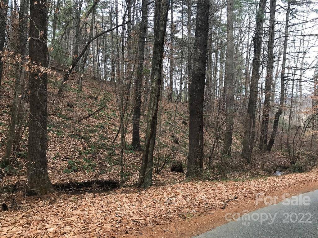 27 Eller Hollow RD, Weaverville, NC 28787