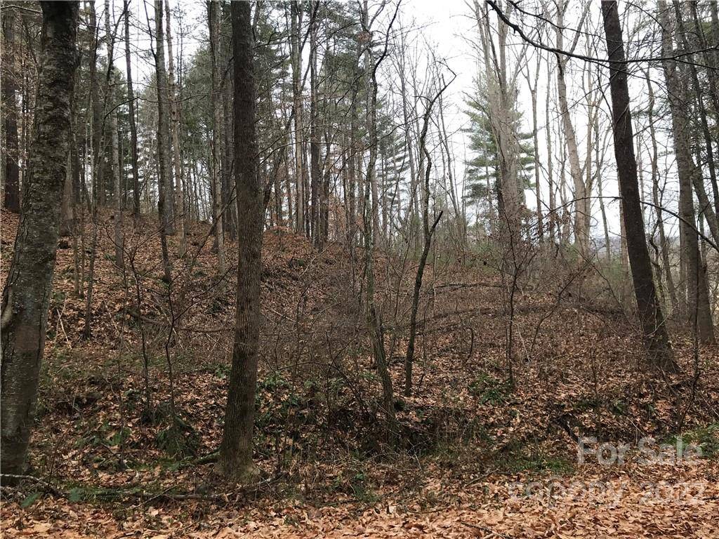 27 Eller Hollow RD, Weaverville, NC 28787