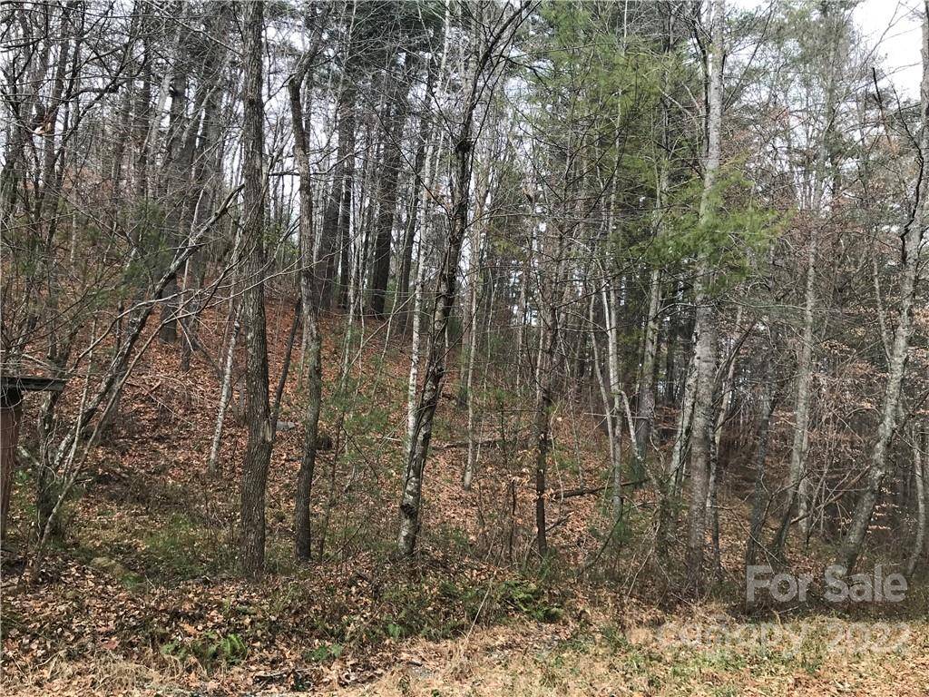 27 Eller Hollow RD, Weaverville, NC 28787