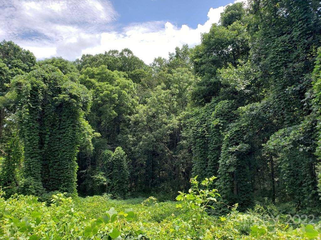 548 Caribou RD, Asheville, NC 28803