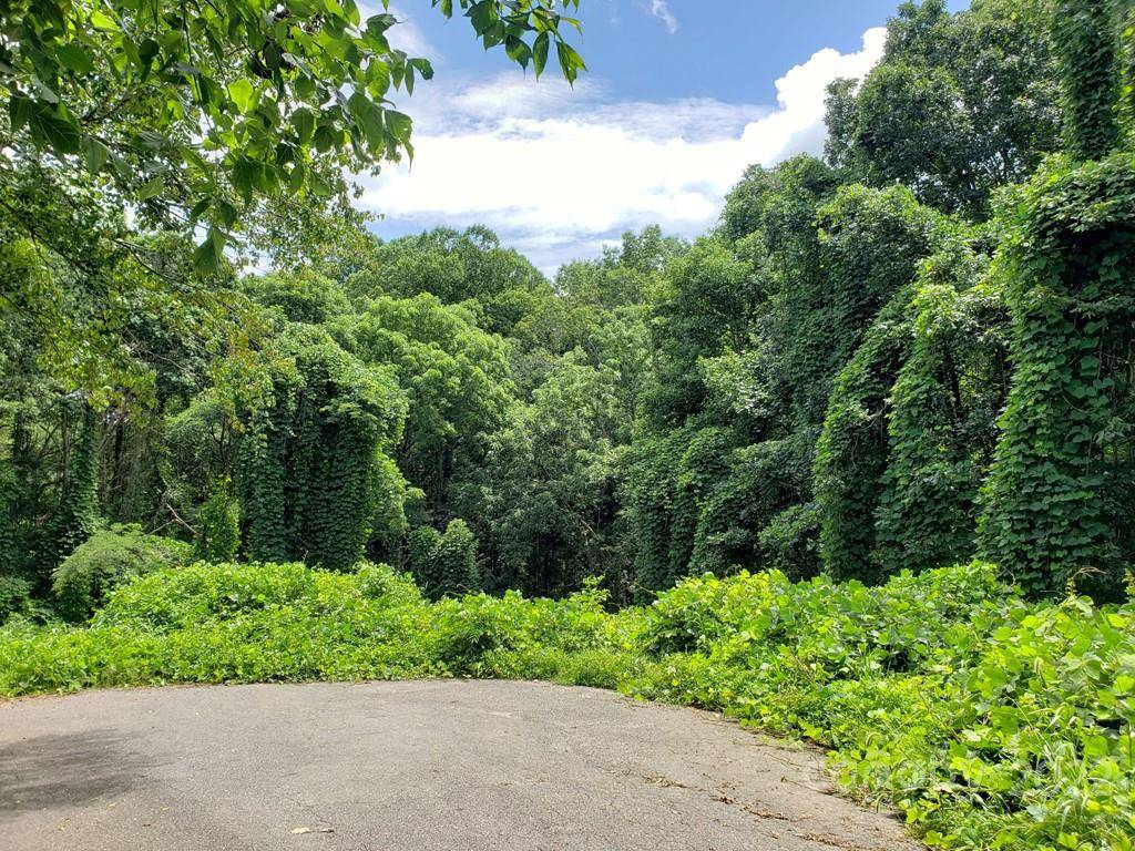 548 Caribou RD, Asheville, NC 28803