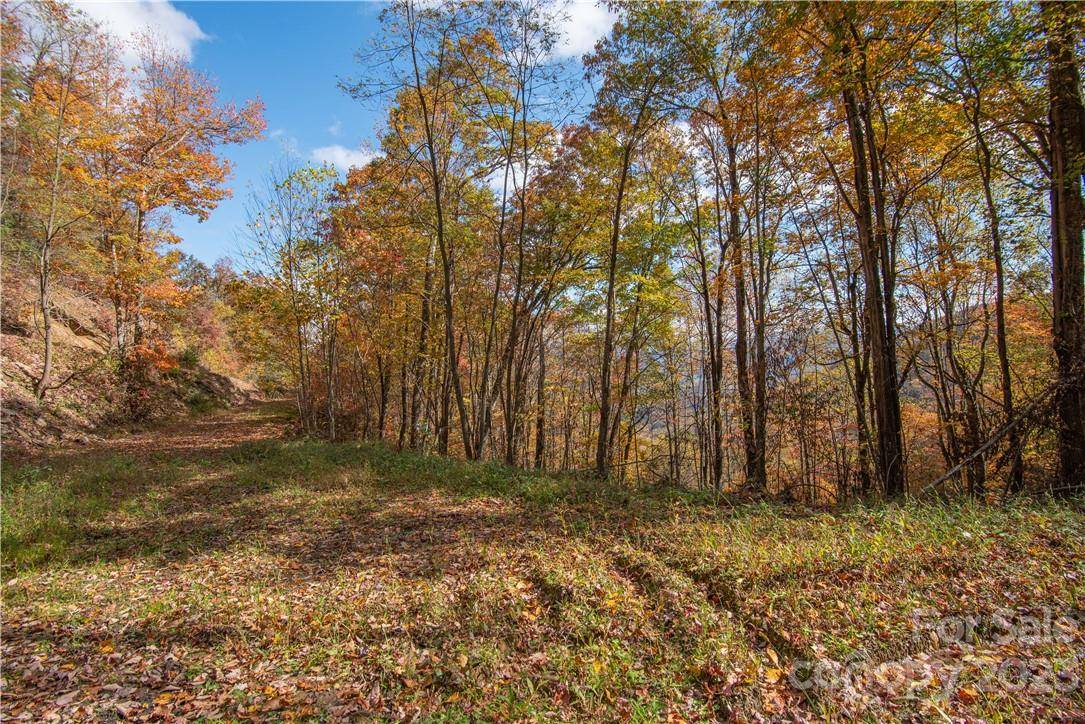 Tract 3 Sigogglin TRL, Waynesville, NC 28785