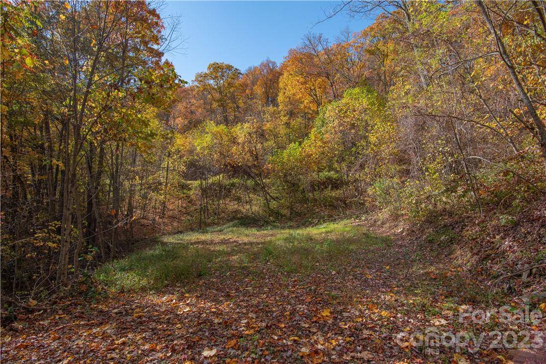 Tract 3 Sigogglin TRL, Waynesville, NC 28785