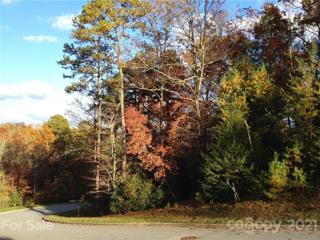 Upper Camptown RD #M110, Brevard, NC 28712