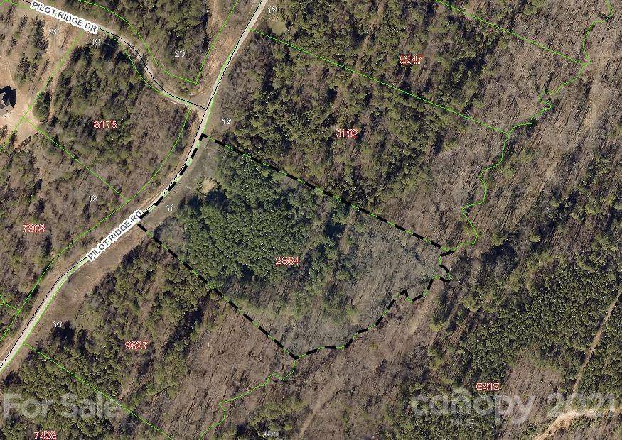 316 Pilot Ridge RD #11, Nebo, NC 28761