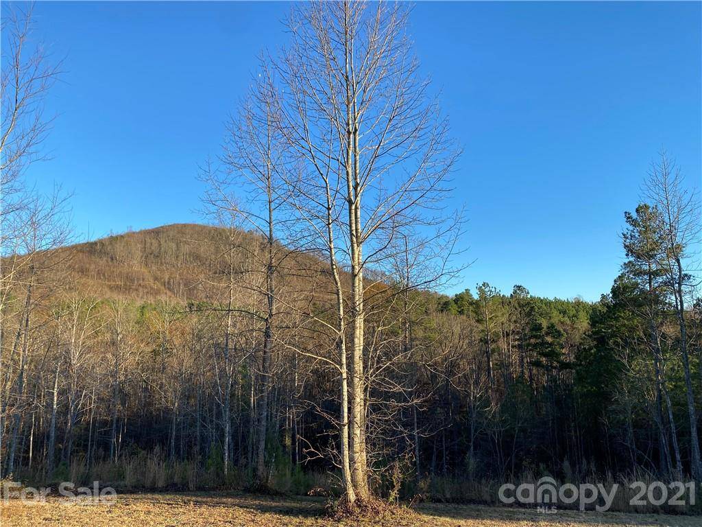 0 Bailey Off RD, Nebo, NC 28761
