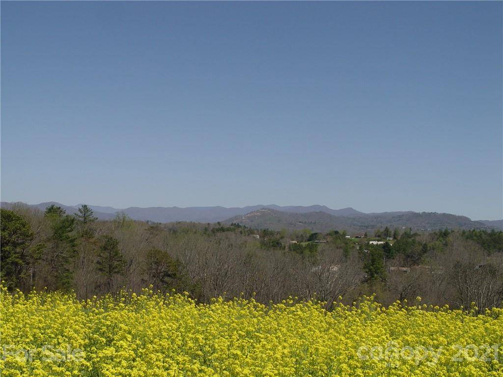 XXXX Bear Creek RD, Leicester, NC 28748