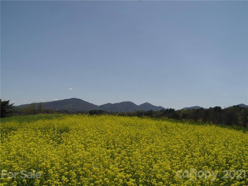 XXXX Bear Creek RD, Leicester, NC 28748
