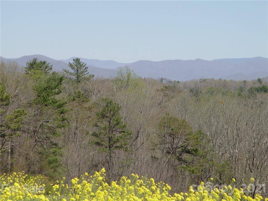 XXXX Bear Creek RD, Leicester, NC 28748
