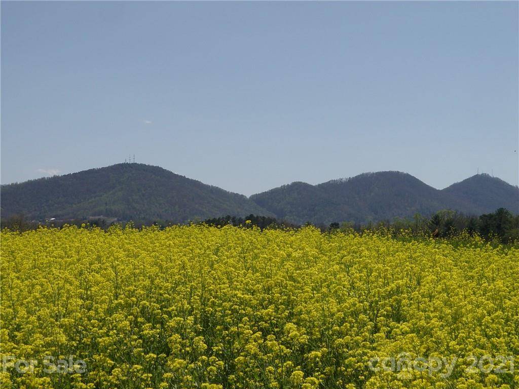 XXXX Bear Creek RD, Leicester, NC 28748