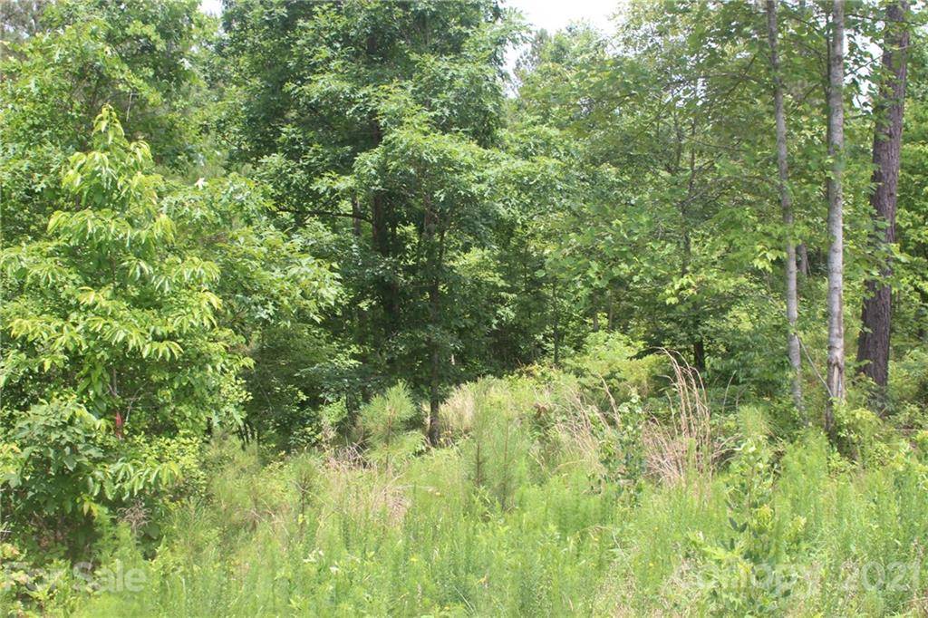 1826 Lake Vista DR NE #2, Connelly Springs, NC 28612