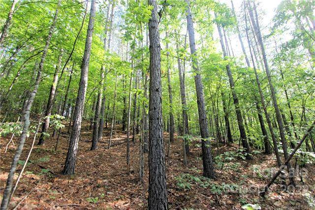 0 Chasewood DR #8, Rutherfordton, NC 28139