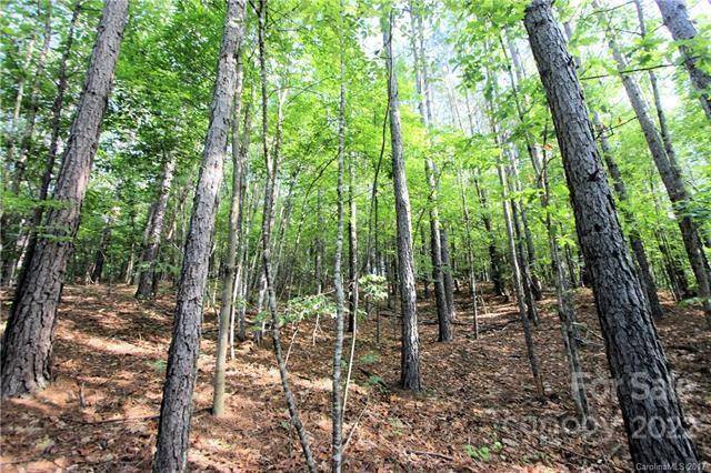 0 Chasewood DR #8, Rutherfordton, NC 28139