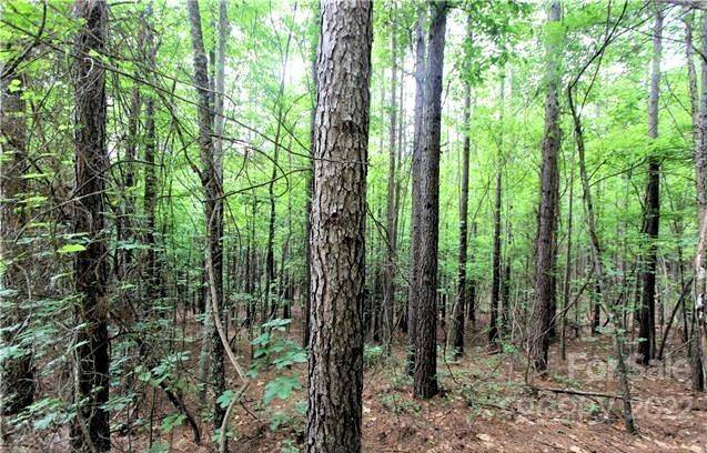0 Chasewood DR #8, Rutherfordton, NC 28139