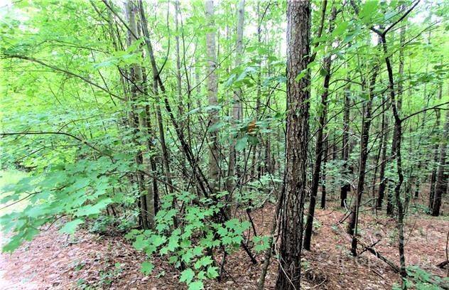 0 Chasewood DR #13, Rutherfordton, NC 28139