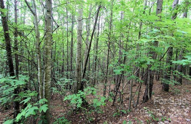 0 Chasewood DR #13, Rutherfordton, NC 28139