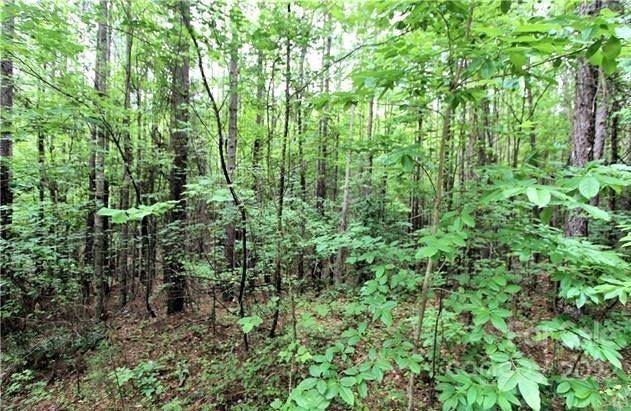 0 Chasewood DR #13, Rutherfordton, NC 28139
