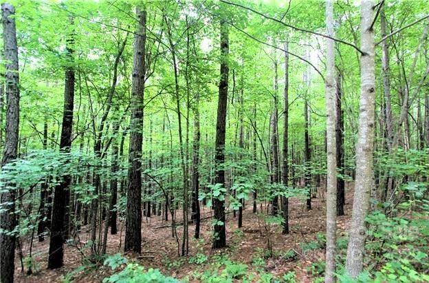 0 Chasewood DR #16, Rutherfordton, NC 28139